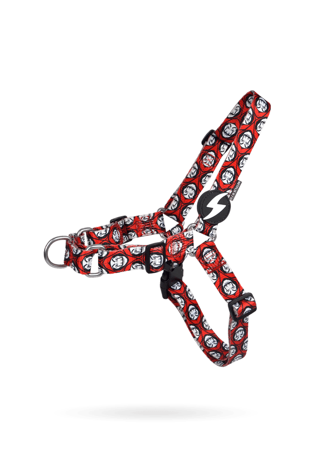 LCDP Mask Front harness