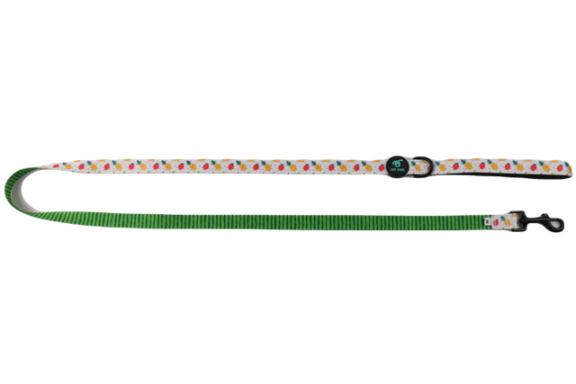 Tutti Frutti Leash