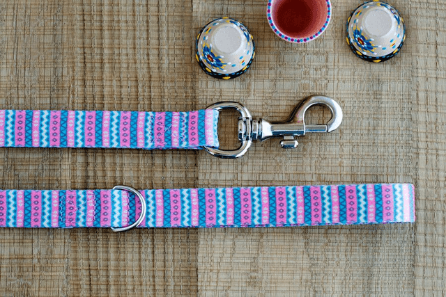 Niara leash