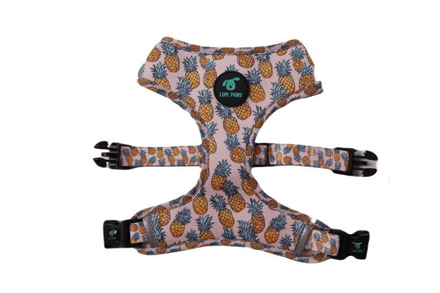 Ananas reversible harness
