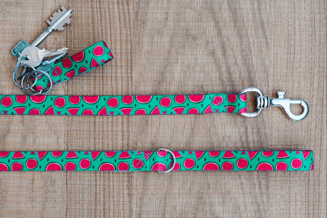Magali leash