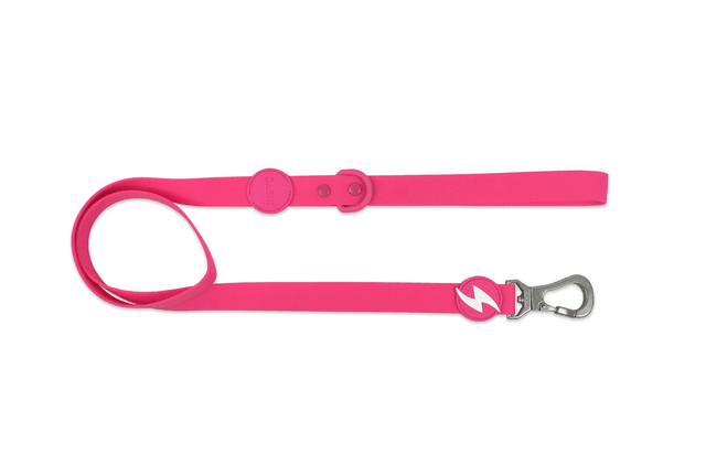 Colorflex Pink Leash