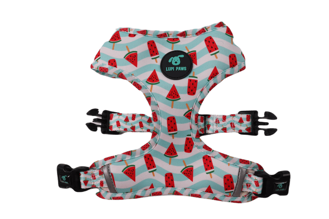 Auutermelon reversible harness