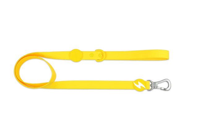 Colorflex Yellow Leash